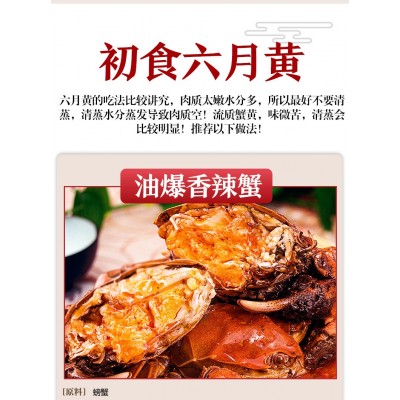 现货大闸蟹鲜活批发超特大湖蟹海鲜水产清水河蟹六月黄大螃蟹包邮图5