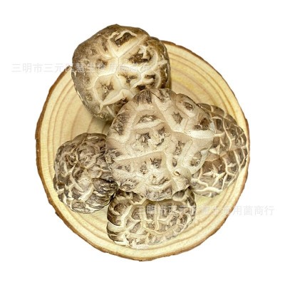 椴木大白花菇肉厚茶花菇野生树菇农家土特产剪脚干香菇图5