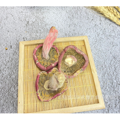 福建三明野生正红菇蓝底大标菇云南红蘑菇土特产月子菇食用菌干货图3