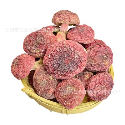 福建三明野生正红菇蓝底大标菇云南红蘑菇土特产月子菇食用菌干货图4