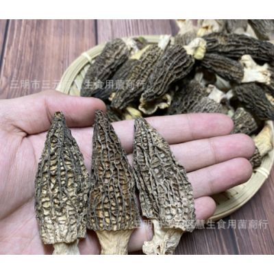 新货羊肚菌新鲜干货云南野生土特产特级野生菌短柄250g图3
