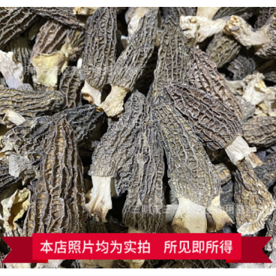 新货羊肚菌新鲜干货云南野生土特产特级野生菌短柄250g图2