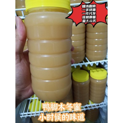 鸭脚木蜂蜜 冬蜜一件代发 农家蜂蜜供应批发 土蜂蜜 冬蜜鹅掌柴花