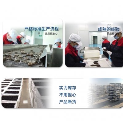 大连即食海参500g 正常口感刺参鲜蒸即食海参非干参厂家顺丰代发图5