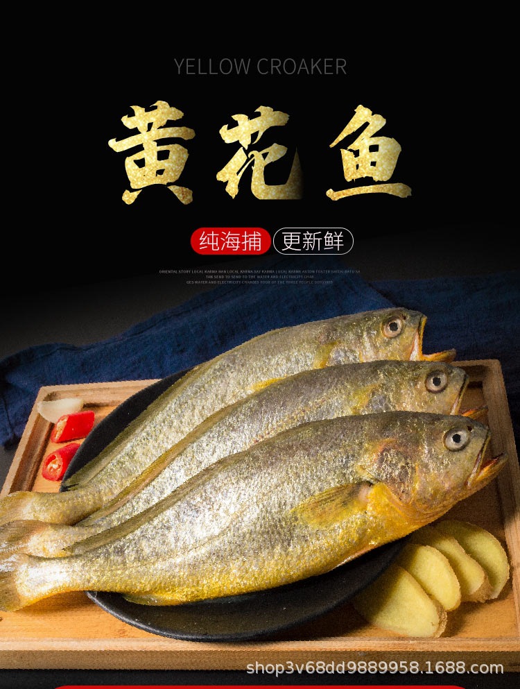 条冻黄鱼_01.jpg