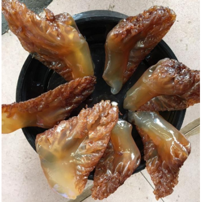批发大角海蜇头非即食大红角海蜇头深海远洋捕捞红大角绵蜇头图5