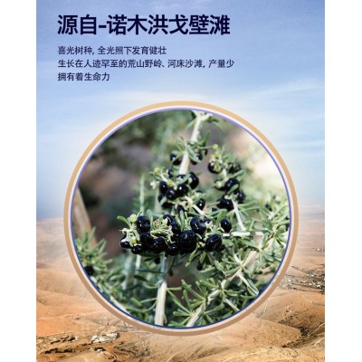 杞老头黑枸枸杞100g/瓶一手货源厂家直供图4