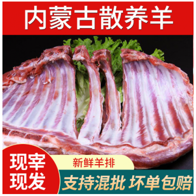 内蒙古新鲜冷冻带骨羊排草原羔羊羊排肉酒店餐饮食材羊排骨羊羔肉图2