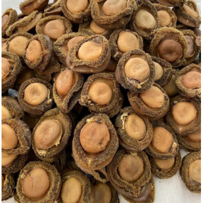 源头批发南非鲍鱼海味批发鲍鱼南非鲍鱼干4头一手货源