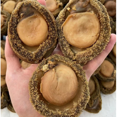 源头批发南非鲍鱼海味批发鲍鱼南非鲍鱼干4头一手货源图4