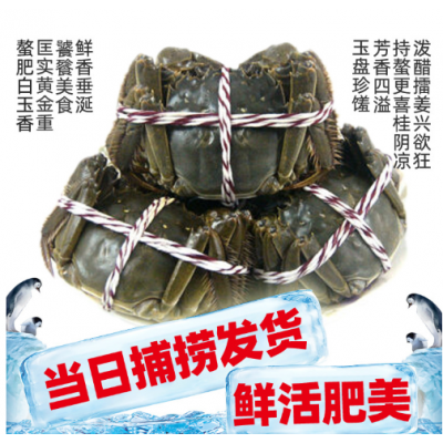 江苏洪泽湖兴化大闸蟹现货六月黄泡沫小青螃蟹鲜活礼卡券河蟹盒装图1