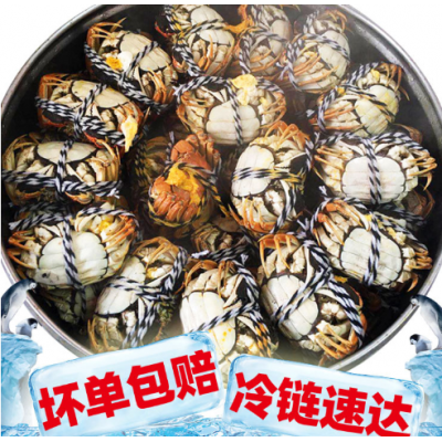 江苏洪泽湖兴化大闸蟹现货六月黄泡沫小青螃蟹鲜活礼卡券河蟹盒装图3