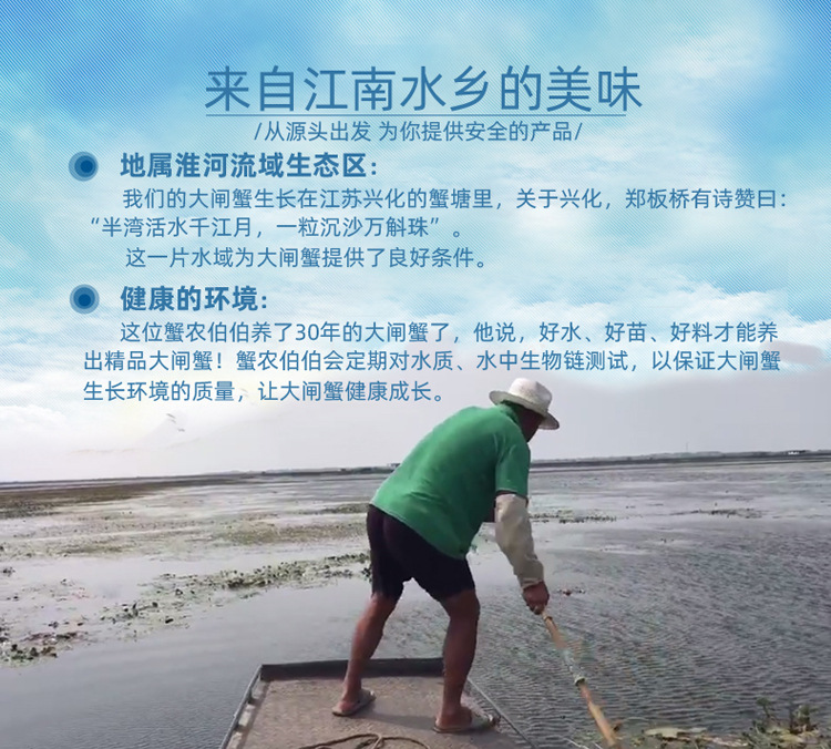 详情页模板-大闸蟹鲜活_05
