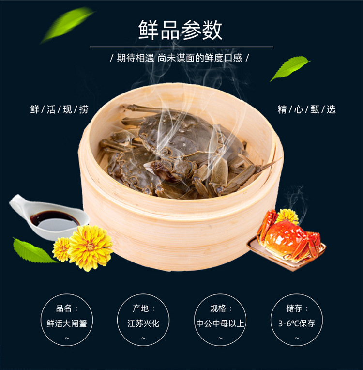 详情页模板-大闸蟹鲜活_04