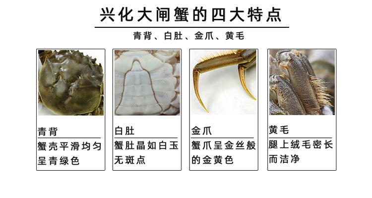 大闸蟹详情页-售后服务_02
