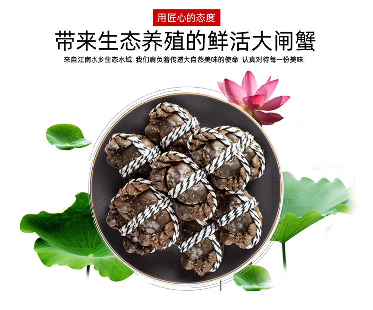 详情页模板-大闸蟹鲜活_03