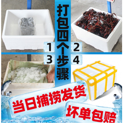 湖北潜江小龙虾炮头龙虾两虾盱眙鲜活小龙虾批发供应鲜活海鲜水产图4