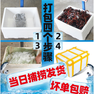 678钱深圳批发求购湖北淡水产品活小龙虾鲜活爬虾类广州海鲜冷冻图2