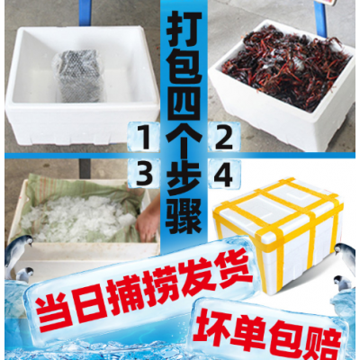 456钱湖北潜江小龙虾活体批发小龙虾小龙虾鲜活商用活的批发活的图2