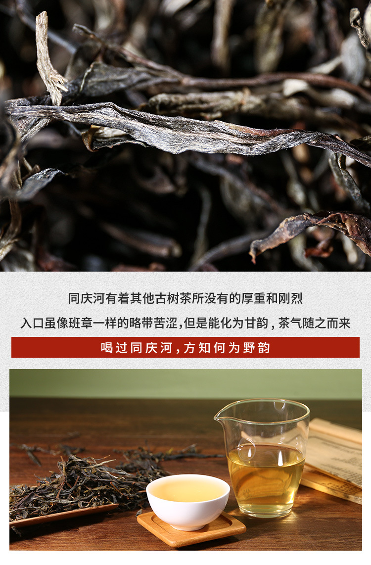 铜箐河散茶_06