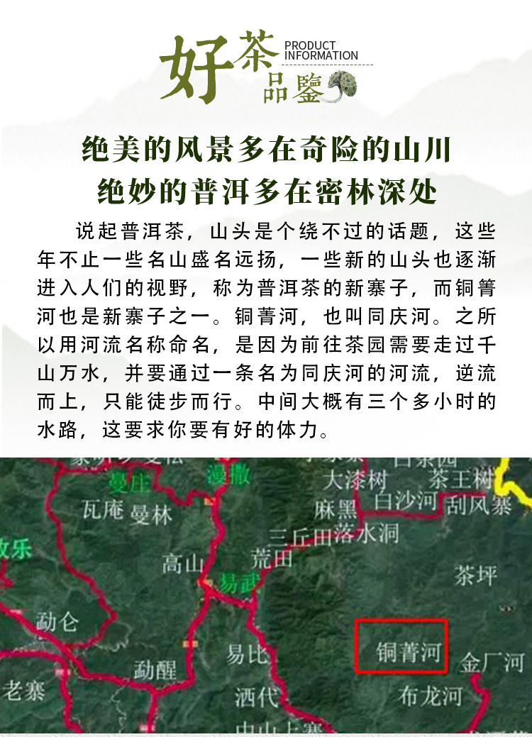 铜箐河散茶_04