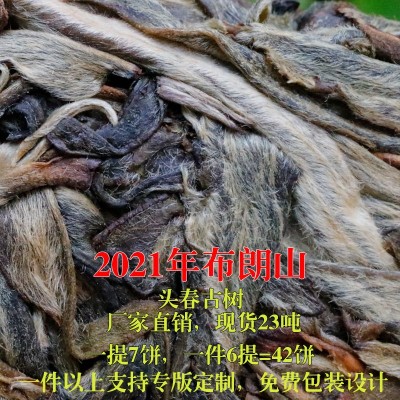 2021年云南普洱茶批发 头春生茶布朗山古树纯料散茶 老农古林茶叶图4