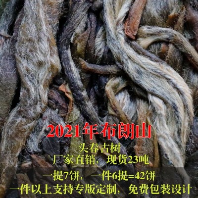 2021年云南普洱茶批发 头春生茶布朗山古树纯料散茶 老农古林茶叶图2