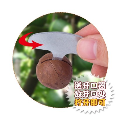 微商货源夏威夷果罐装175g奶油口味特产休闲零食坚果炒货送开口器图2