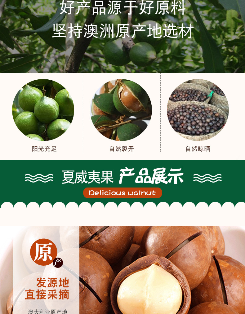 夏威夷果详情新_02