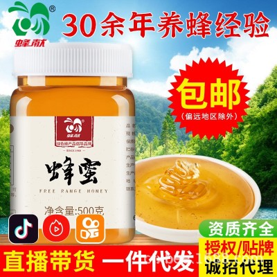 厂家直销 蜂献农家自产天然土蜂蜜500g一件代发蜂蜜