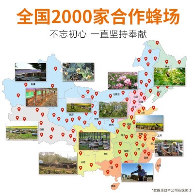 厂家直销 蜂献农家自产天然土蜂蜜500g一件代发蜂蜜图3