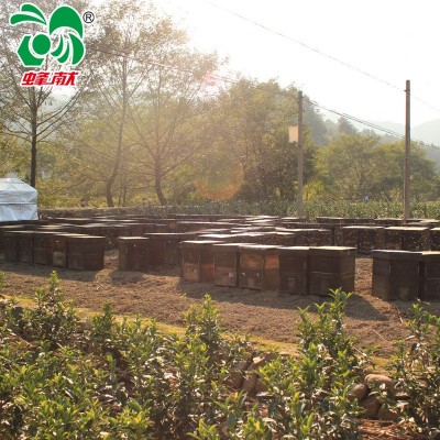 厂家直销 蜂献农家自产天然土蜂蜜500g一件代发蜂蜜图4