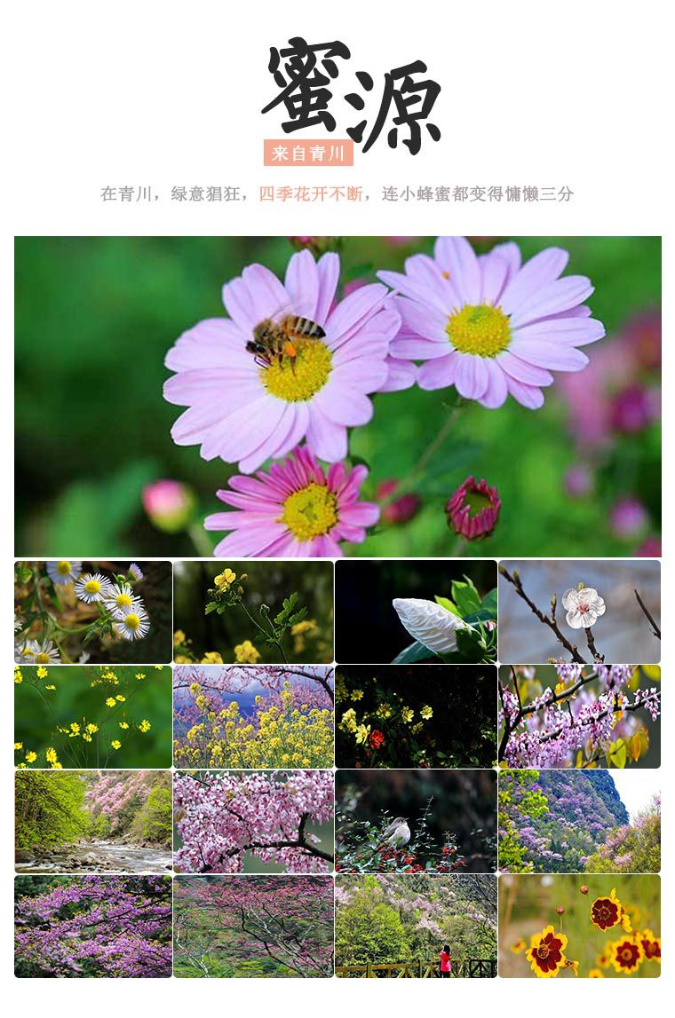 蜂蜜500g_07.jpg