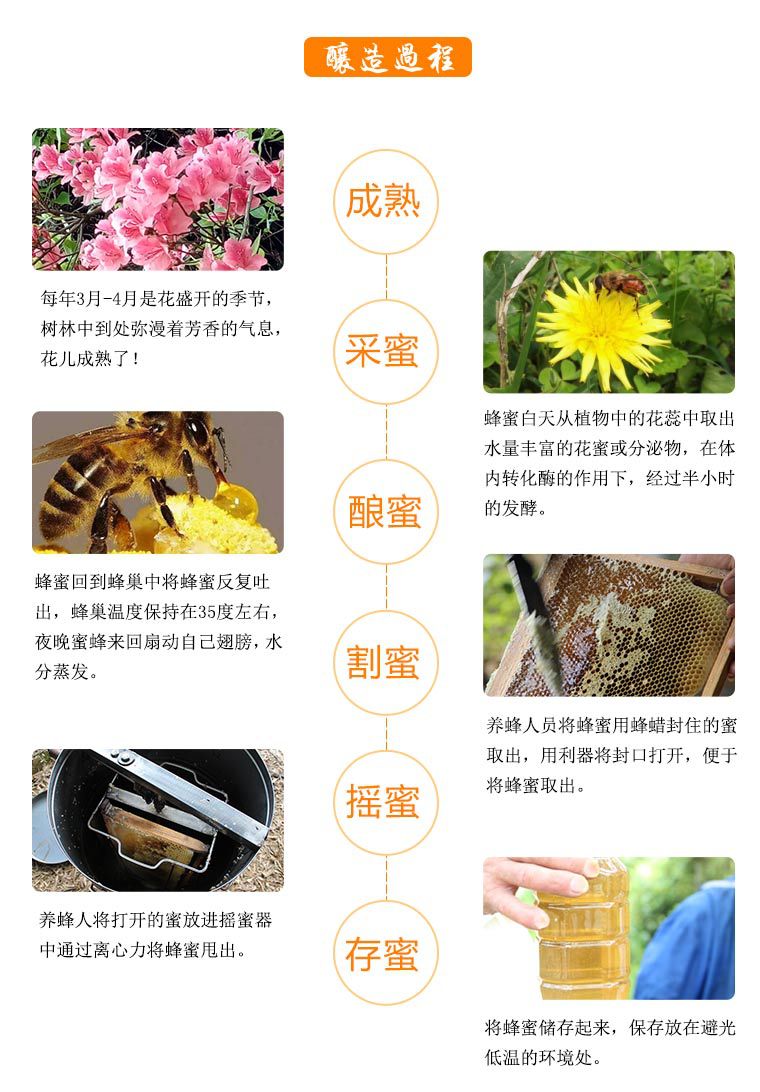 蜂蜜500g_16.jpg