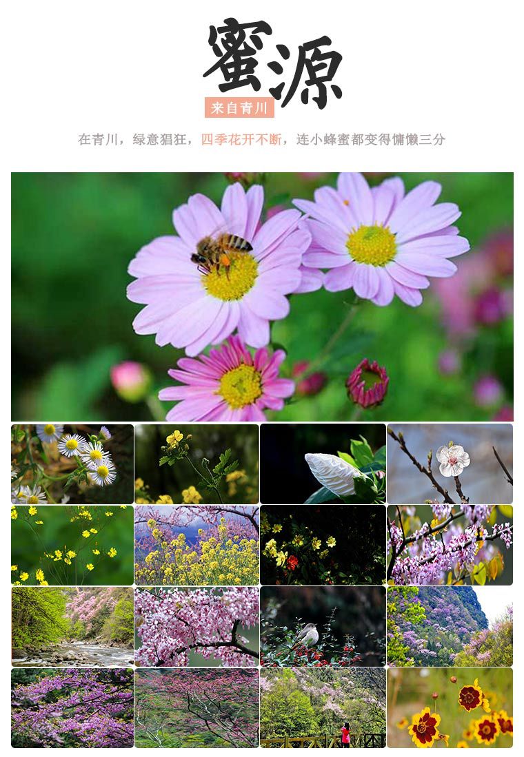 老巢蜜500g_05.jpg