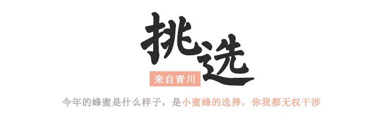 蜂蜜250g_08.jpg