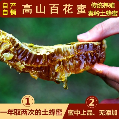 一件代发蜂蜜批发蜂产品农家自产土蜂蜜500g土蜂蜜图2