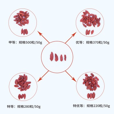 红枸杞720g宁夏中宁苟杞礼盒图3