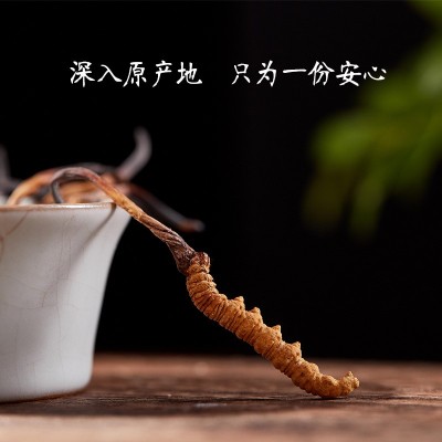 西藏那曲虫草 新鲜冬虫草 冬虫夏草图4