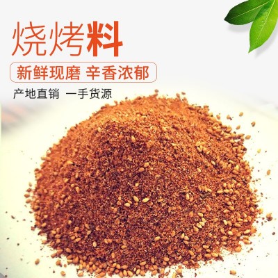 厂家销售烧烤料烤肉炸串调味料火锅烧烤干碟蘸料烧烤撒料图4