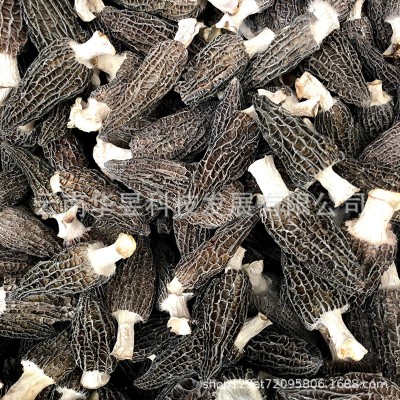 云南特产羊肚菌干货2021新货颜色黑剪脚大个头原产地一手货源批发图4