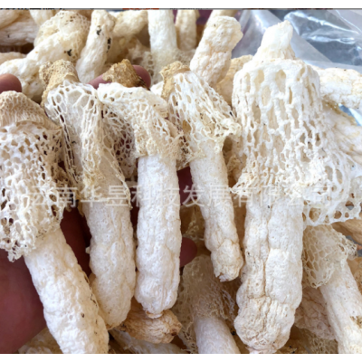 云南特产红托竹荪干货2021新上长条颜色白无断条种植基地一手货源图4