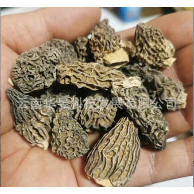 云南特产野生羊肚菌干货全剪柄2021新上中号个头均匀产地一手货源图2