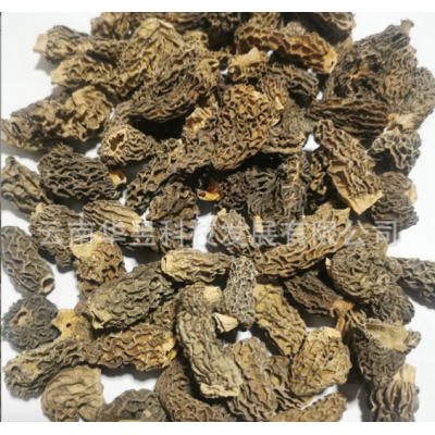 云南特产野生羊肚菌干货全剪柄2021新上中号个头均匀产地一手货源图3