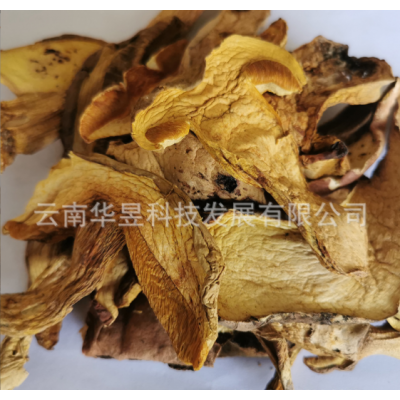 云南特产黄牛肝菌干货2021新无虫无杂质菌汤火锅炒菜产地一手批发图3
