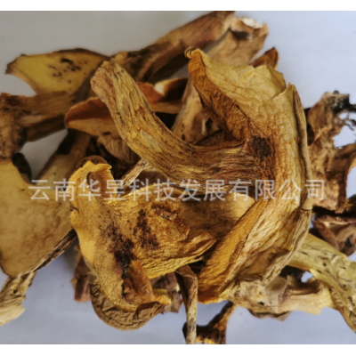 云南特产黄牛肝菌干货2021新无虫无杂质菌汤火锅炒菜产地一手批发图2
