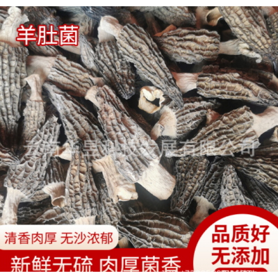 云南特产羊肚菌干货2021新上中号个头肉博装菌汤包用一手货源批发图2