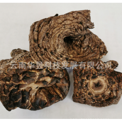 云南特产虎掌菌干货章子菌2021新上泥脚干净机烤五公分以上一手货图3