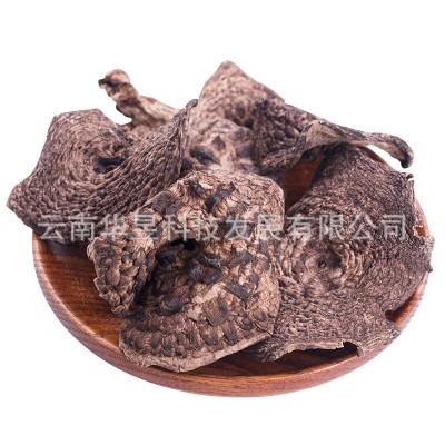 云南特产虎掌菌干货章子菌2021新上泥脚干净机烤五公分以上一手货图5