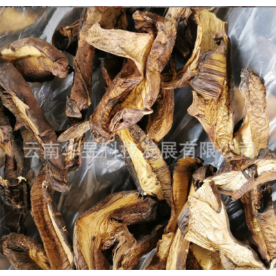 云南特产黄牛肝菌干货2021新上市餐饮连锁火锅熬菌汤味道香颜色好图2